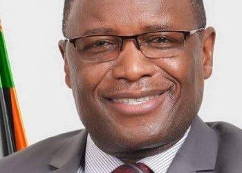 Zambia Pledges To Help Nigeria Fight Insecurity