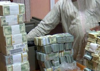 Nigerian Politicians Steal In Office To Meet False Asset Declaration – Transparency International