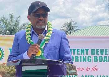 Nigerian Youths Have Inspired Our Continuous Investment In Capacity Building – Wabote