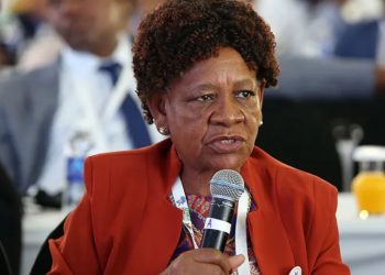 Zimbabwe: Newly Sworn-In Education Minister Vows To Deliver Quality Education