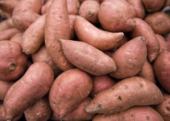 Potatoes Provides Excellent Source Of Vitamins To Your Diet