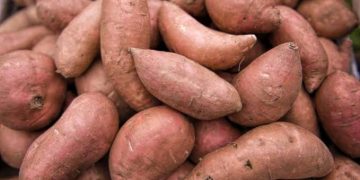 Potatoes Provides Excellent Source Of Vitamins To Your Diet