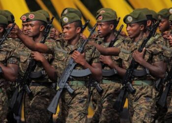 Ethiopia Shuns Ceasefire Calls, Vows To Continue Fight Against Rebel Forces