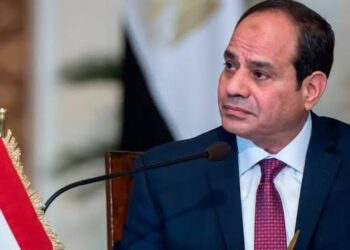 Egypt Arrests 400 After President Sisi's Announcement Of Third Term Bid