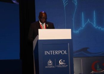Nigeria’s Assistant Inspector-General Of Police, Garba Baba Emerges INTERPOL Vice-President