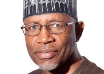 Why Young People Are Not Investing In Nigeria’s Capital Market — SEC DG