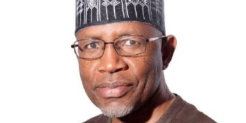 Why Young People Are Not Investing In Nigeria’s Capital Market — SEC DG