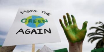 TotalEnergies To Plant 40million Trees In Congo To Develop Natural Carbon