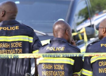 South Africa’s Police Minister Decries ‘Disturbing’ Crime Increase