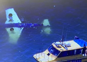 Australia: Two Adults, Two Children Die In Light Plane Crash