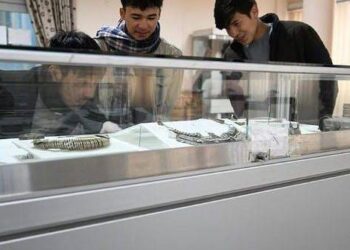 Afghanistan: Visitors Return To National Museum Taliban Once Ransacked