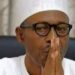 Buhari’s N100 Million Sewage Dinner With Museveni
