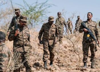 Ethiopia Shut Schools To Support War Effort