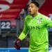 AFCON: Boost For Nigeria As Okoye Returns From Injury