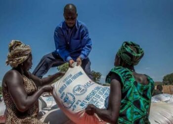 UN Halts Food Aid To Ethiopian Towns After Looting