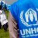 Over 70,000 Cameroonian Refugees Live In Nigeria- UNHCR
