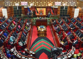 Kenya: Brawl Breaks Out In Parliament Over Political Parties Bill