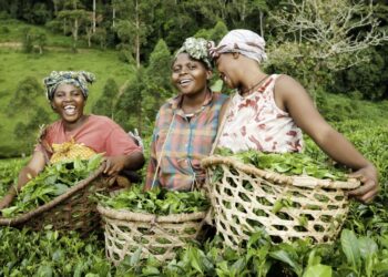 France Invests €200,000 To Boost Agricultural Skills Of Nigerian women