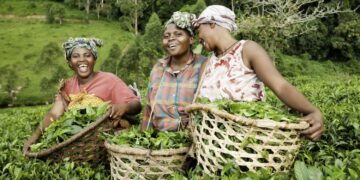 France Invests €200,000 To Boost Agricultural Skills Of Nigerian women
