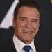 American Actor Arnold Schwarzenegger Involved In Multi-Car Crash