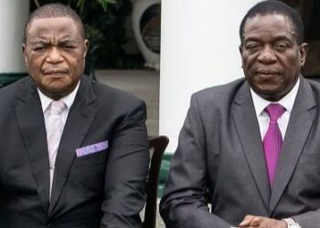 Zimbabwe President Temporarily Hands Power To Deputy