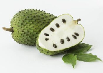 Seven Health Benefits Of The Exotic Soursop Fruit