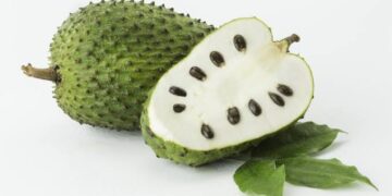 Seven Health Benefits Of The Exotic Soursop Fruit