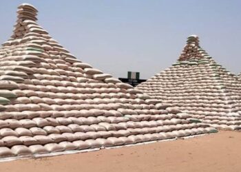 Nigeria Set To Become Major Exporter Of Rice, As President Buhari Unveils Mega Rice Pyramid In Abuja
