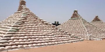 Nigeria Set To Become Major Exporter Of Rice, As President Buhari Unveils Mega Rice Pyramid In Abuja