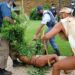South Africa: Police Arrest Self-Acclaimed Monarch For Growing Marijuana Outside President Ramaphosa’s Office
