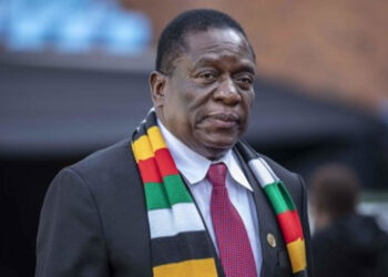 Zimbabwe’s Security Minister Fired For Misbehaviour