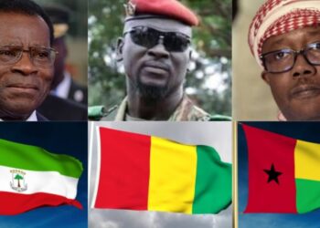 Explainer: The Guineas of Africa And Difference Between Them