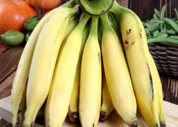 10 Health Benefits of Plantain You Should Know