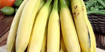 10 Health Benefits of Plantain You Should Know