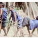 Malawi Declares Polio Outbreak