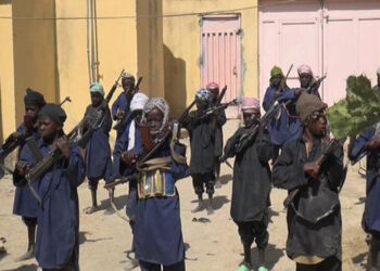 Nigeria: Boko Haram Has Recruited Over 8,000 Children In Terrorism War Since 2009- UNODC