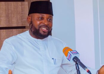 2023: Green Nigeria Movement Set To Tackle Voter Apathy