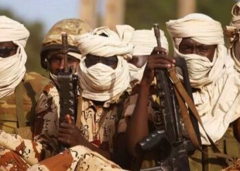 Niger Withdraws From Lake Chad Anti-Jihadist Force