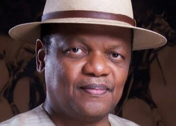 GoNigeria Initiative as Boost to Youths Participation in Electoral Process