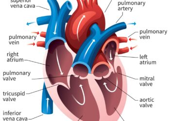 5 Ways To Improve Your Heart Health