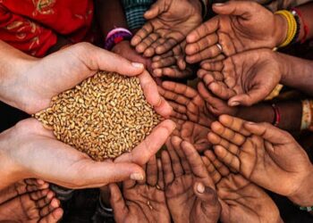 The Stampede For Food To Eat