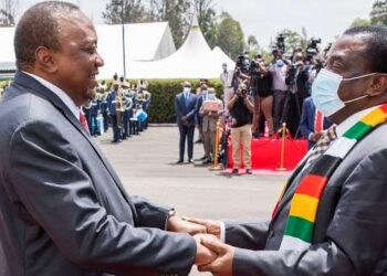 Kenya, Zimbabwe Consolidate Relations With Bilateral Agreements