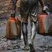 ‘Eat the Oil Money; We Take the Crude’