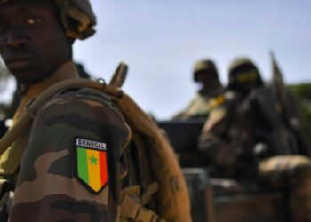 Senegal Launches Operation Against Casamance Rebels
