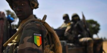 Senegal Launches Operation Against Casamance Rebels