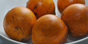 5 Nutritional Benefits Of Agbalumo, African Star Apple
