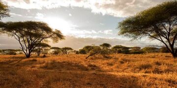Zimbabwe Begins Repossessing Unused Land From Black Farmers