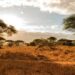 Zimbabwe Begins Repossessing Unused Land From Black Farmers