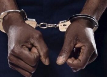 Nigeria: Terrorism Suspect Escapes From Court Premises During Trial