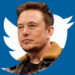 Twitter Set to Introduce Voice And Video Calls, Says Elon Musk